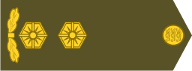 Lieutenant Colonel