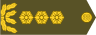 Lieutenant General